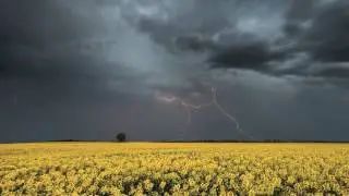 весенняя гроза