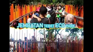 JembataN TebeT Eco ParK JakartA, Terlalu BanyaK OrAng, Jembatan GOyanG!!!