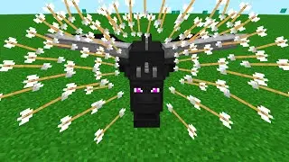 ender dragon vs 1000 arrows
