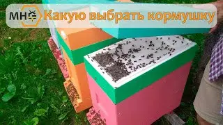 Какую выбрать кормушку внутриульевую или потолочную?