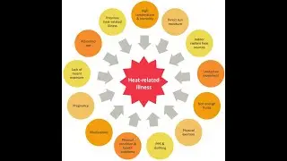 Evaluating Heat Risks