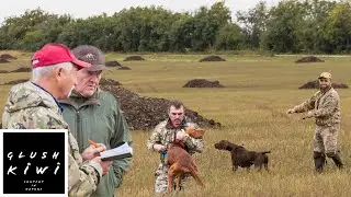 Испытание легавых собак КБР 09.2021. English CC available.