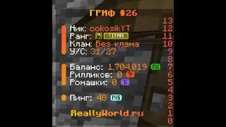 КАК ЗАРАБОТАТЬ НА REALLYWORLD