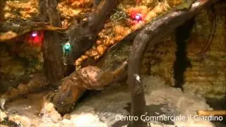 CENTROCOMMERCIALE IL GIARDINO AVOLA