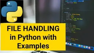 Python File IO Basics | How to read write append in Python File Handling Tutorial Absolute Beginners
