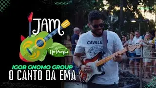 IGOR GNOMO GROUP | “O canto da ema” live Jam no Parque (lago Capuxu)
