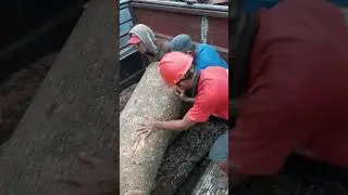 Bismillah..!!