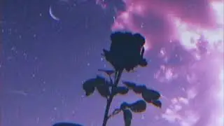 Meek.Avi - SMOKEUP