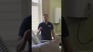 КАК ПОБОРОТЬ ПЛЕСЕНЬ?