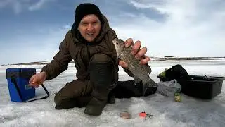 Рыбалка в Караганде 2022!Интымак!Карась со льда!