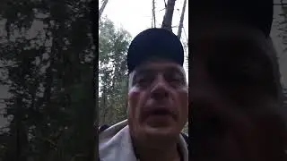 чё правда пять КАМАЗов гриба с одного места 😳😳😳😳