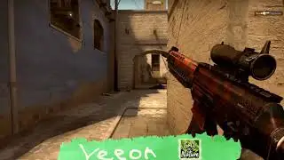 Fragmovie CSGO Veeon