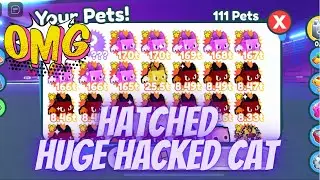 Hatched a Huge Hacked Cat in Pet Simulator X | Roblox |