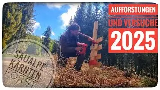 🌲🌳Reforestation and Experiments 2025🌳🌲