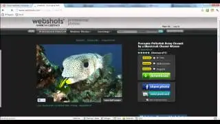 Chrome:  Add a Pinterest Bookmarklet