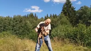Ягдтерьеру Шнапсу 6 месяцев
