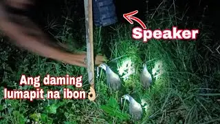 Pag huli ng ibon gamit ang Speaker? Ang galing nito mga Ka Agri