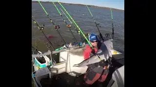 SlimeCat rod catfishing big blue Catfish