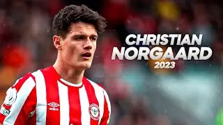 Christian Nørgaard - The Midfield Commander - 2023ᴴᴰ