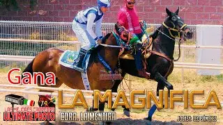 5.-La Magnifica vs El Cash