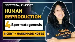 Spermatogenesis | Human Reproduction | CBSE Class 12 Biology🎯 | Vani Ma'am | VEER NEET Batch 2024