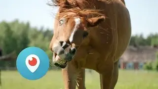 Periscope on Android Tutorial: Your Periscope Profile [part 1]