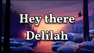 Hey There Delilah - Plain White T's (Cover)