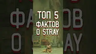 ТОП 5 ФАКТОВ О STRAY КОТОРЫХ ТЫ НЕ ЗНАЛ (STRAY, 2022)