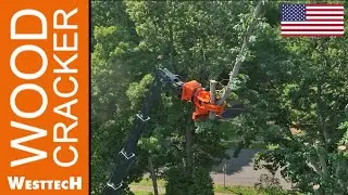 Developed for safety tree fellings: Woodcracker® CS750 smart for telehandlers