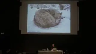 Le Storie della Fotografia | Gli anni Duemila