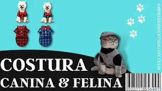 Como hacer ropa para tu mascota | Como hacer Ropa para Perro