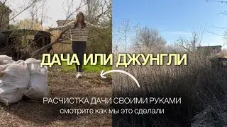 Заросшая ДАЧА - не приговор! Как РАСЧИСТИТЬ дачу СВОИМИ руками. УБОРКА участка:от сорняков до порядк