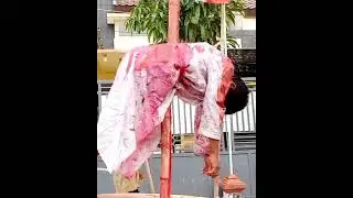 Karnaval 17 Agustus | Sekaran Lamongan 