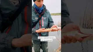 Весенняя щука🔥👍 #fortmen #fishing #рыбалка #сапоги #рыбалка2024