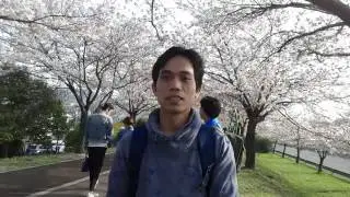 Musim semi korea part3