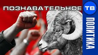СДОХНУТЬ ради Запада! Они реально ТУПЫЕ? Белорусский бизнес поставил себе ультиматум