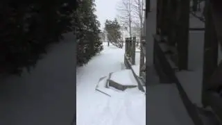 Vinter i Skåne.
