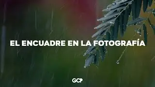 El encuadre en la fotografía - Gamaliel Cuicas
