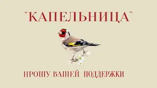 Прошу Вашей поддержки для издания книги стихов 100 песен "КАПЕЛЬНИЦА".