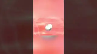 *SHINY STUFFUL* POKEMON SWORD   *MASUDA METHOD* 