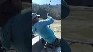 Guy Catches Monster Fish While River Fishing! 