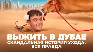 ЧИСТО ДУБАЙ РЕАЛИТИ ШОУ: 6 СЕРИЯ. ВЫЖИТЬ В ДУБАЕ. СКАНДАЛЬНАЯ ИСТОРИЯ УХОДА.ВСЯ ПРАВДА #выжитьвдубае