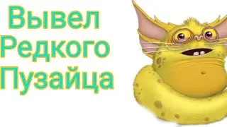 Вывел редкого пузайца. И всё о том как его вывести