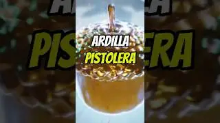 El Juego Más Loco del Año 😵🔫🐿️. #shortsgaming #gaming #newgame #indiegame