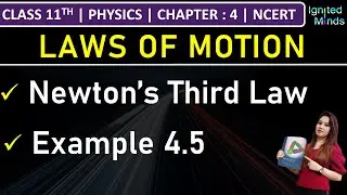 Class 11th Physics | Newton’s Third Law of Motion | Example 4.5 | Chapter 4: Laws of Motion | NCERT