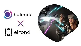 What is Holoride and Why Elrond blockchain