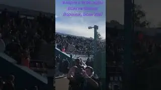 Колхозный панк, Туман, ждём всех на стадионе!
