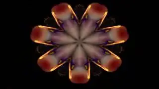 Fly & One Day       The Church     Seance
