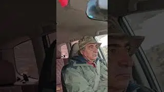 Верните часовые пояса