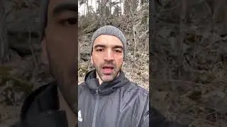 3 goda vilda delikatesser i skogen i slutet av mars.